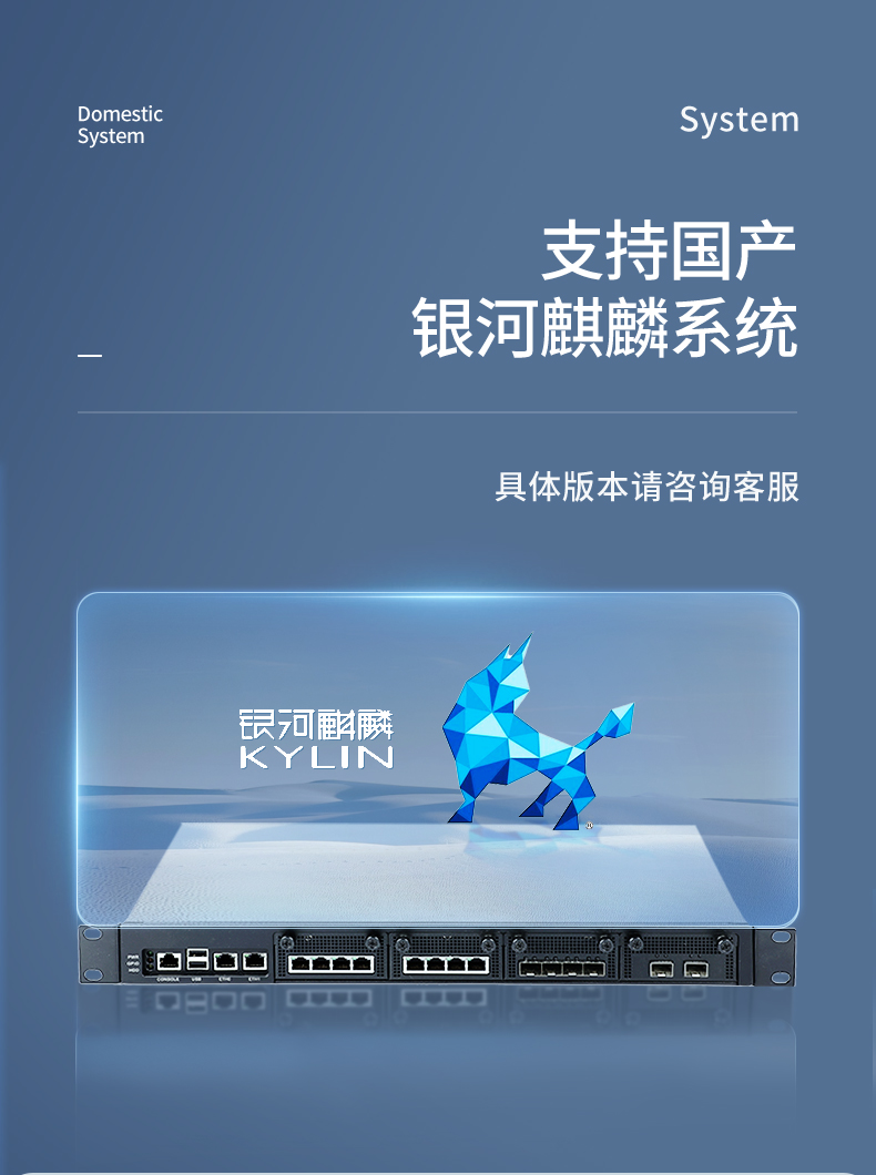 飛騰國產(chǎn)化上海工控機,國產(chǎn)化系統(tǒng),DT-12420-SD2000.jpg